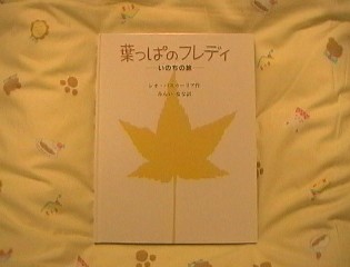 ʯ������ި�